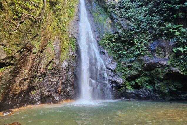 Syndicate Falls